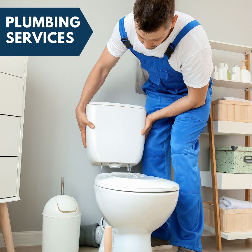 Plumbing Company in Romulus, MI